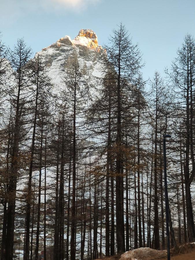 Cervino'S View - Ski In Ski Out 브루일서비니아 외부 사진
